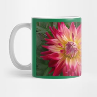 Dahlia #24 Mug